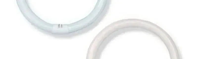 Two circular white fluorescent tubes with metallic pin connectors set against a plain white background