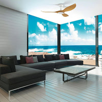 52" Noosa DC Ceiling Fan Bamboo, Teak, Dark Natural 204112, 204113, 204114 Eglo Lighting