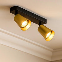 CLEARANCE Alvey LED Spot Light Bar 2Lt in Gold Brushed Black
