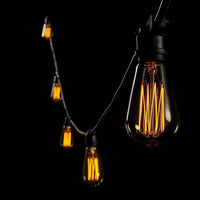 Black 10 or 20 Meter Festoon Lighting 25w Pear Carbon Filament Globes included PL-20FEST + 60007-lusion