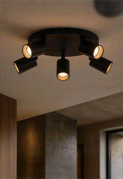 Flush & Close to Ceiling