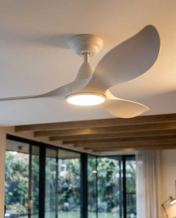 Ceiling Fans With Lights