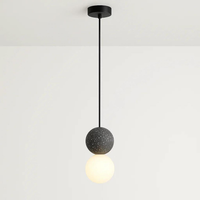 Noir Pendant Light in Black