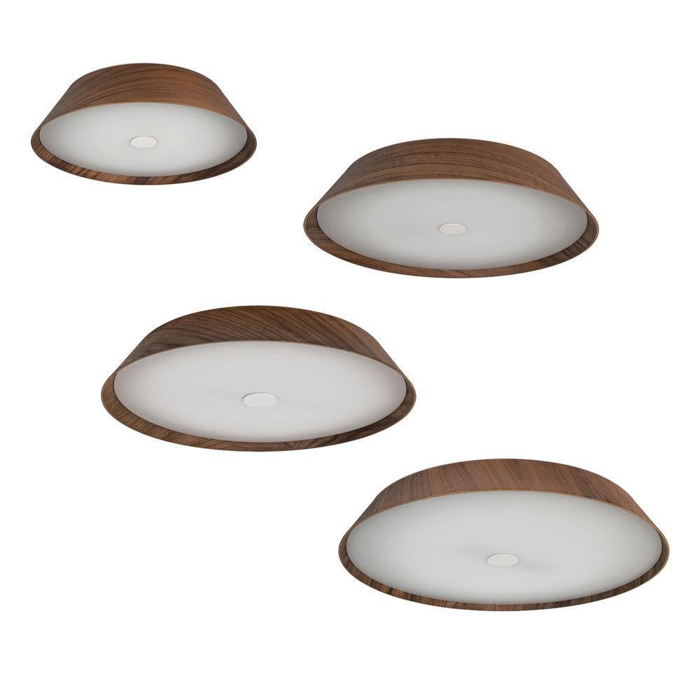 Havit Noyer walnut timber LED oyster light, modern natural timber ceiling finish