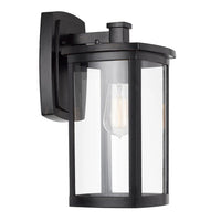 Reese Outdoor Wall Light in Black