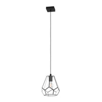 Mardyke Pendant Light in Black and Clear