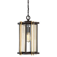 Goldenrod Chain Pendant Light in Western Bronze