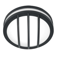 Sven Wall/Ceiling Light in Graphite
