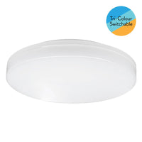 CLEARANCE YYR 24w CCT Ceiling Button in White Eurotech - YYR24WCCT