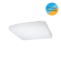 CLEARANCE LED YYS 15w CCT Ceiling Button in White Eurotech - YYS15WCCT