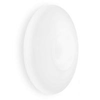 Glory Wall/Ceiling Light 5Lt in White