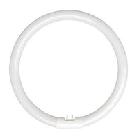 22w Fluorescent T5 Globe Cool White 4200k LC22WT5EB