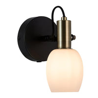 Arild Indoor Wall Light in Black