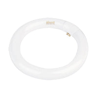 22w Fluorescent T9 Globe Warm White 3000k, Cool White 4000k, Daylight 6500k A-FCL22