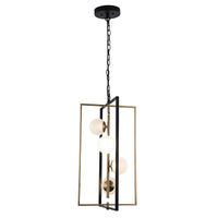 Franco 4Lt LED Drop Pendant Light in Black and Gold
